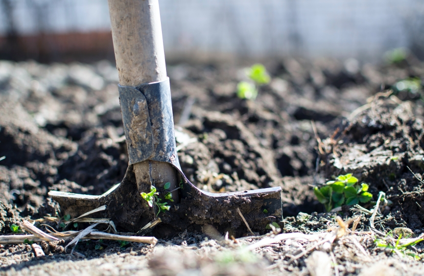 gardening