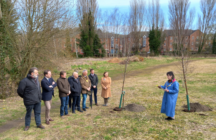 tree planting