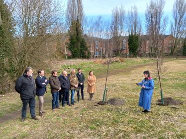 tree planting